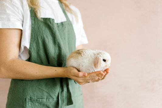 Is it Okay for Children to Believe in the Easter Bunny