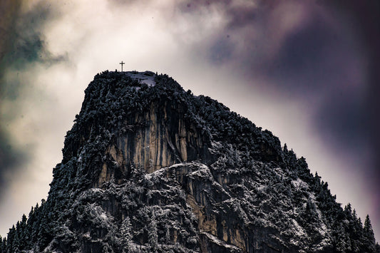 What Did Jesus Mean by 'Take Up Your Cross and Follow Me